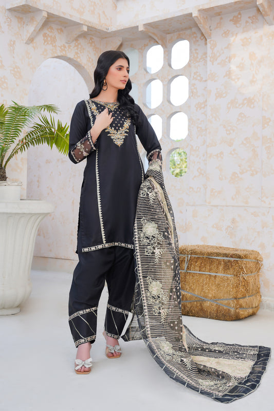 black 3pc- Embroidered Pret