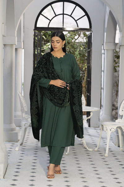 palachi  shawl | Dhanak suit