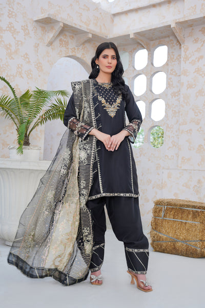 black  3pc- Embroidered Pret