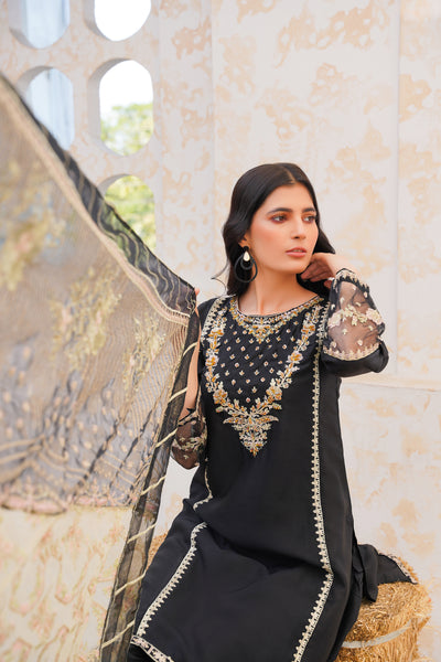 black  3pc- Embroidered Pret
