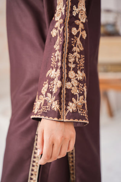Solid chocolate brown  | embroidered Co-ord suit