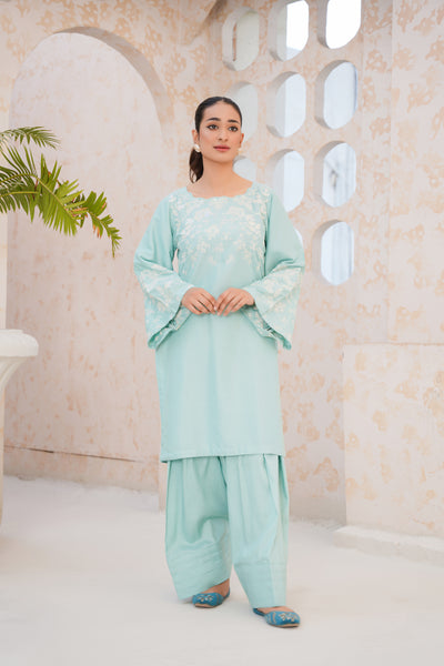 Ice Blue 2Pc - embroidered pret  suit