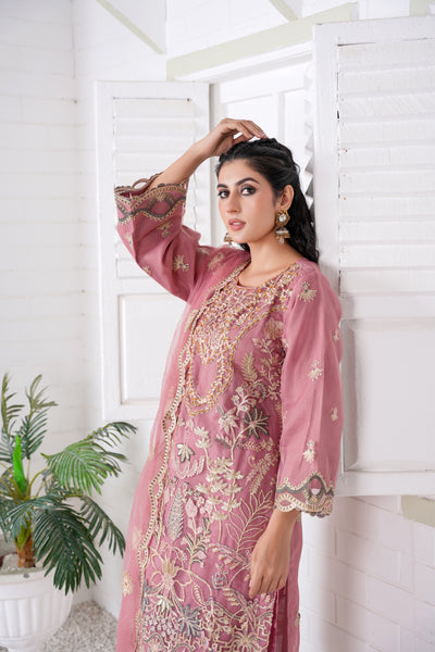 Ramisha 3Pc - Embroidered NET suit