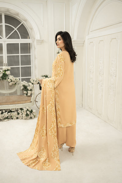 embroidered shawl  | Dhanak suit