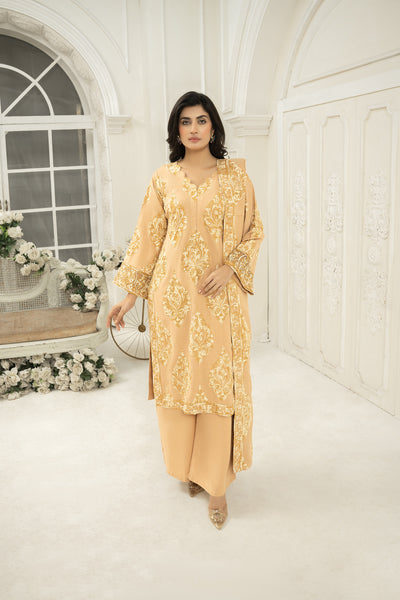 embroidered shawl  | Dhanak suit