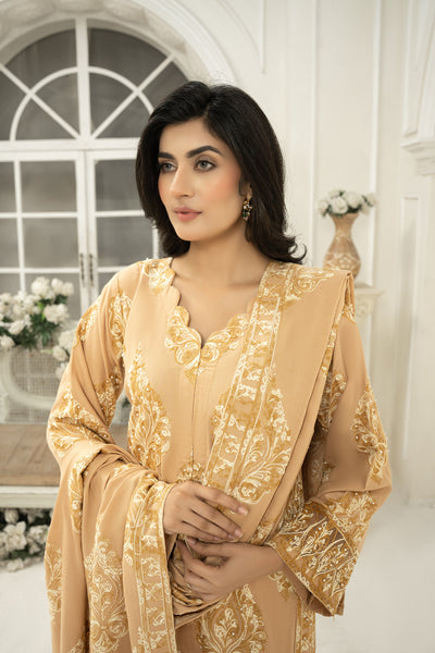 embroidered shawl  | Dhanak suit