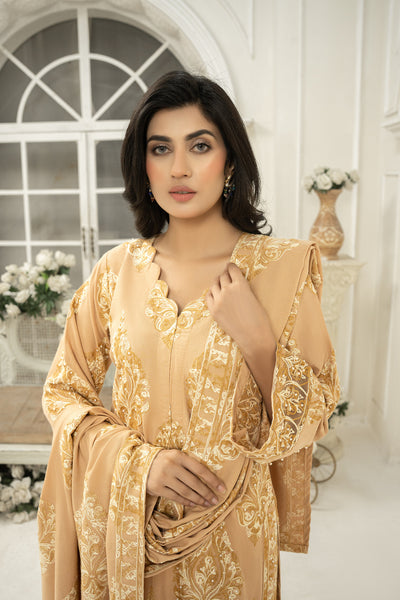 embroidered shawl  | Dhanak suit