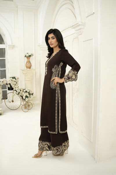 dhanak embroidered Co-ord set